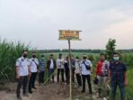 Polda Lampung Menyegel Kebun Tebu Milik Oknum Anggota DPRD Way Kanan