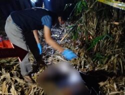 Polres Lampung Utara Evakuasi Penemuan Mayat di Rumpun Bambu Dusun 6 Cahaya Mas