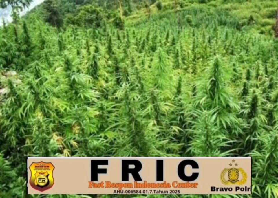 IMG_20260214_17493828